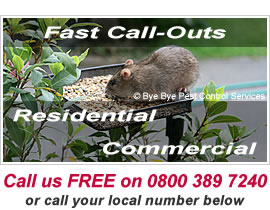 Bye Bye Pests - Fast Pest Control Call-Out Service in Basingstoke, Fleet, Reading, Newbury and Andover