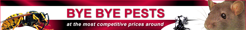 Bye Bye Pest Control in Basingstoke, Fleet, Reading, Alton, Newbury, Bracknell, Winchester, Petersfield, Andover, Slough, Haslemere, Maidenhead, Southampton and Camberley.