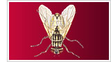 Bye Bye Pests - Bye Bye House Flies 