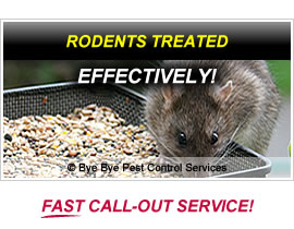 Pest Control Reading