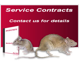 Bye Bye Pests - Pest Control Service Contracts