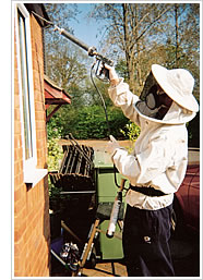 Bye Bye Pests - Wasp nest treatment